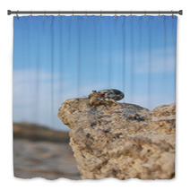 Hermit crab looks into the distance from the cliff Bath Decor 100561774