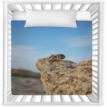 Hermit crab looks into the distance from the cliff Nursery Decor 100561774
