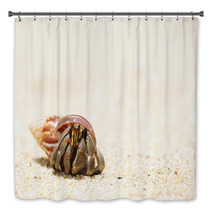 Hermit Crab On A Beach Bath Decor 41108543