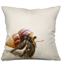 Hermit Crab On A Beach Pillows 39240772