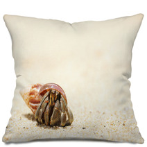 Hermit Crab On A Beach Pillows 41108543