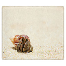 Hermit Crab On A Beach Rugs 41108543