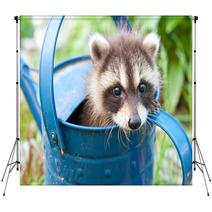 Hiding In A Watering Can Backdrops 67099019