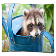 Hiding In A Watering Can Blankets 67099019