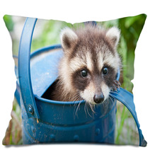 Hiding In A Watering Can Pillows 67099019