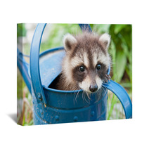 Hiding In A Watering Can Wall Art 67099019
