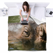 Hipopotamo8536 Blankets 1199502