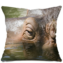 Hipopotamo8536 Pillows 1199502