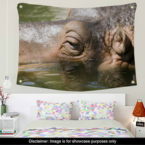 Hipopotamo8536 Wall Art 1199502