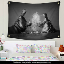 Hippo's Fighting Wall Art 26053906