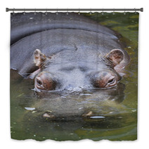 Hippo Swimming In Water Bath Decor 65514878