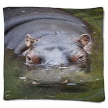 Hippo Swimming In Water Blankets 65514878