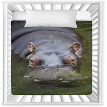Hippo Swimming In Water Nursery Decor 65514878