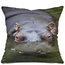 Hippo Swimming In Water Pillows 65514878