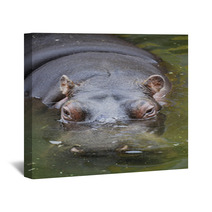 Hippo Swimming In Water Wall Art 65514878