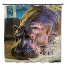 Hippo Under The Bright Summer Sun Bath Decor 66280552