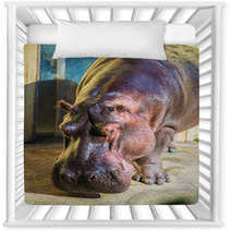 Hippo Under The Bright Summer Sun Nursery Decor 66280552