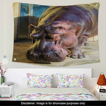 Hippo Under The Bright Summer Sun Wall Art 66280552