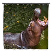 Hippopotamus Bath Decor 60721581