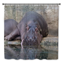 Hippopotamus Bath Decor 64317387