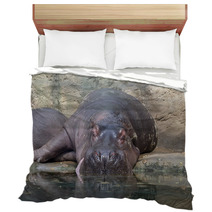 Hippopotamus Bedding 64317387