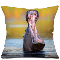 Hippopotamus Displaying Aggressive Behavior Pillows 61440293