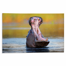 Hippopotamus Displaying Aggressive Behavior Rugs 61440293