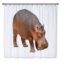 Hippopotamus Isolated Bath Decor 56083358