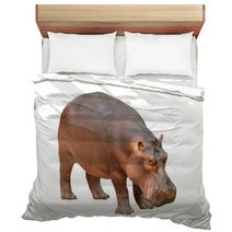 Hippopotamus Isolated Bedding 56083358