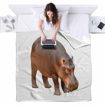 Hippopotamus Isolated Blankets 56083358