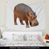 Hippopotamus Isolated Wall Art 56083358