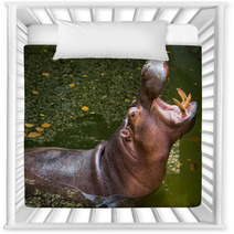 Hippopotamus Nursery Decor 60721581