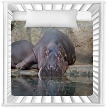 Hippopotamus Nursery Decor 64317387