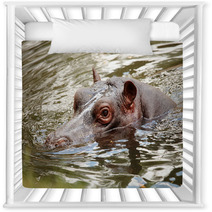 Hippopotamus Nursery Decor 65638654