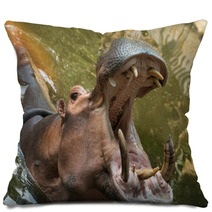 Hippopotamus Pillows 56458730