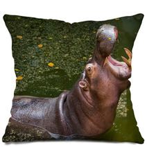 Hippopotamus Pillows 60721581