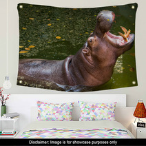 Hippopotamus Wall Art 60721581