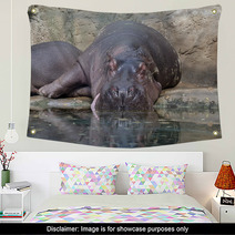 Hippopotamus Wall Art 64317387