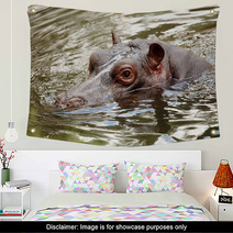 Hippopotamus Wall Art 65638654