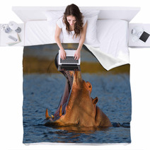 Hippopotamus Yawning Blankets 48681824