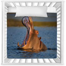 Hippopotamus Yawning Nursery Decor 48681824