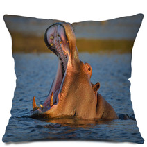 Hippopotamus Yawning Pillows 48681824