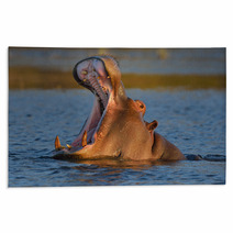 Hippopotamus Yawning Rugs 48681824