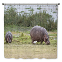 Hippopotamuses Bath Decor 67411491