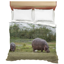 Hippopotamuses Bedding 67411491