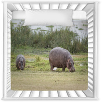 Hippopotamuses Nursery Decor 67411491