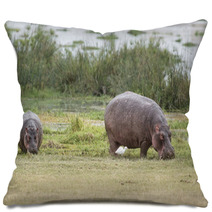 Hippopotamuses Pillows 67411491