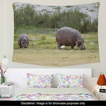 Hippopotamuses Wall Art 67411491