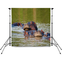 Hippos Backdrops 1559146