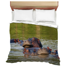 Hippos Bedding 1559146